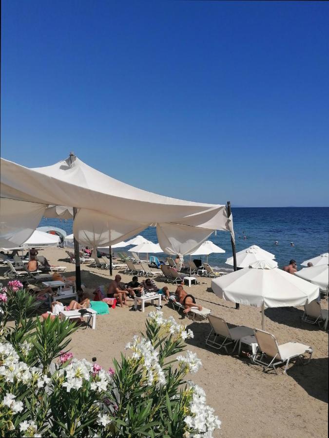 Greca Mare-traditional Greek Boutique Apt. *