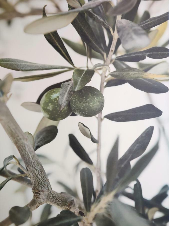 Greca Mare-traditional Greek Boutique Apt. Ferienhaus